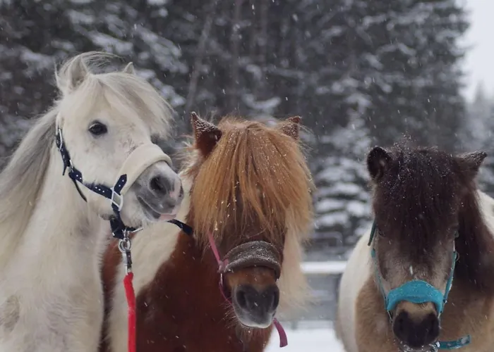 Lieblingsplatzl Neustift im Stubaital