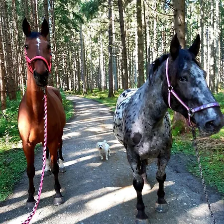 Apartment Lieblingsplatzl Neustift im Stubaital