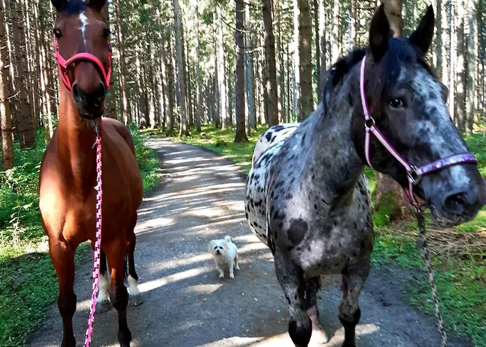Apartman Lieblingsplatzl Neustift im Stubaital